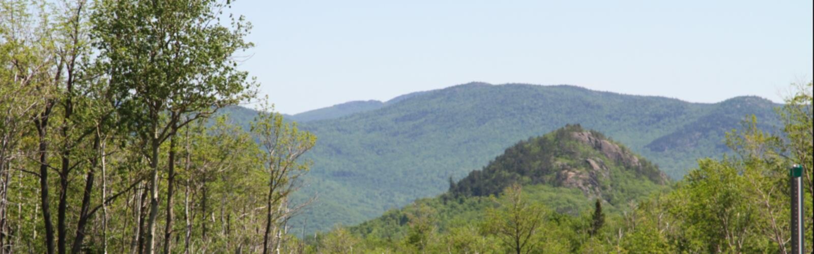 Hiking Central Vermont Loop - panoramic view  outdoor tree mountain sky nature plant forest surrounded lush wooded