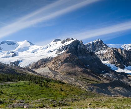 Mount Athabasca
 trail - hiking in Canadian Rockies