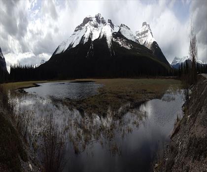 Sentier lac Pinto - randonnée en Canadian Rockies
