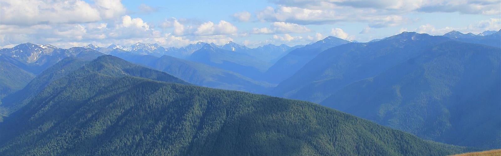 Hurricane Ridge, Washington