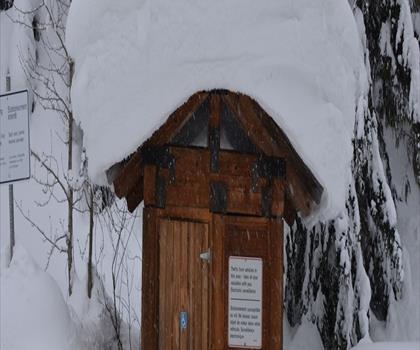 Hemlock Grove Boardwalk trail - hiking in Kootenay Rockies