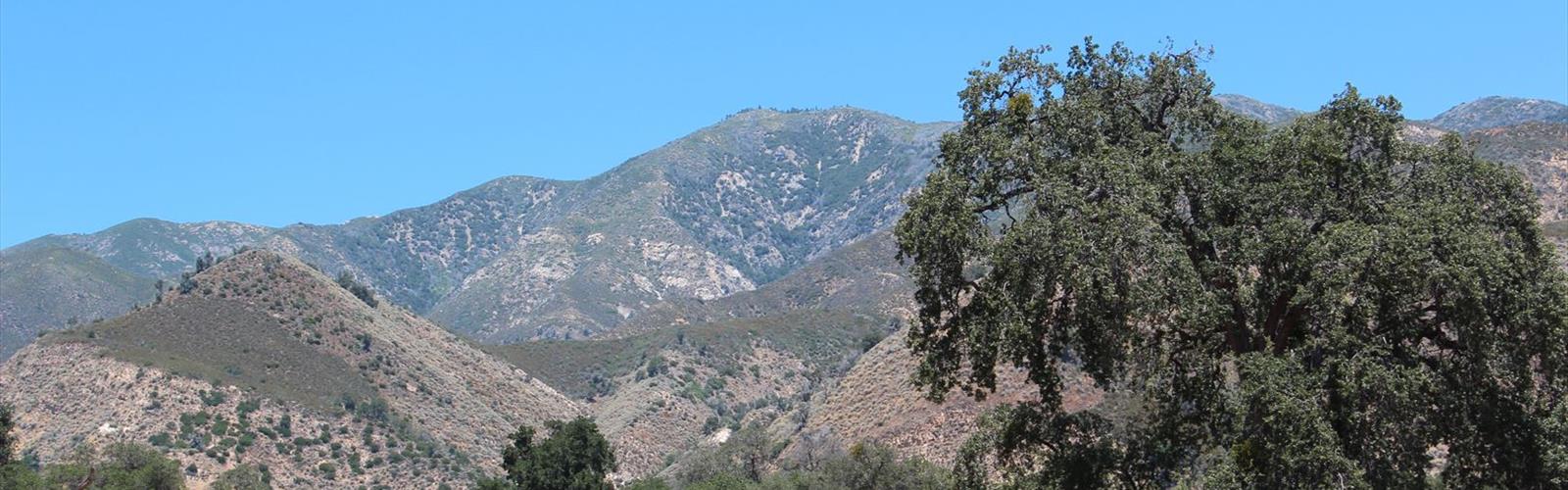 Indians Road trail - hiking in Central Coast