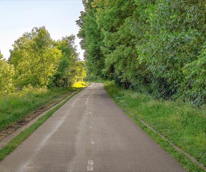 Cedar Lake Trail trail - hiking in Minneapolis-St. Paul Metro