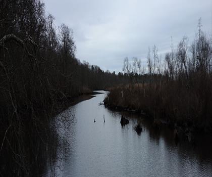 Sentier parc Southaven County - randonnée en Long Island