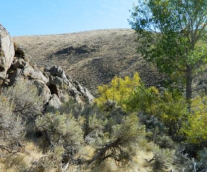 Snake River Road to Oregon trail - hiking in Oregon  outdoor sky tree mountain field nature landscape desert hill rock hillside plant