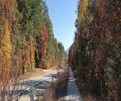 Danbury Bog trail - hiking in Dartmouth-Lake Sunapee