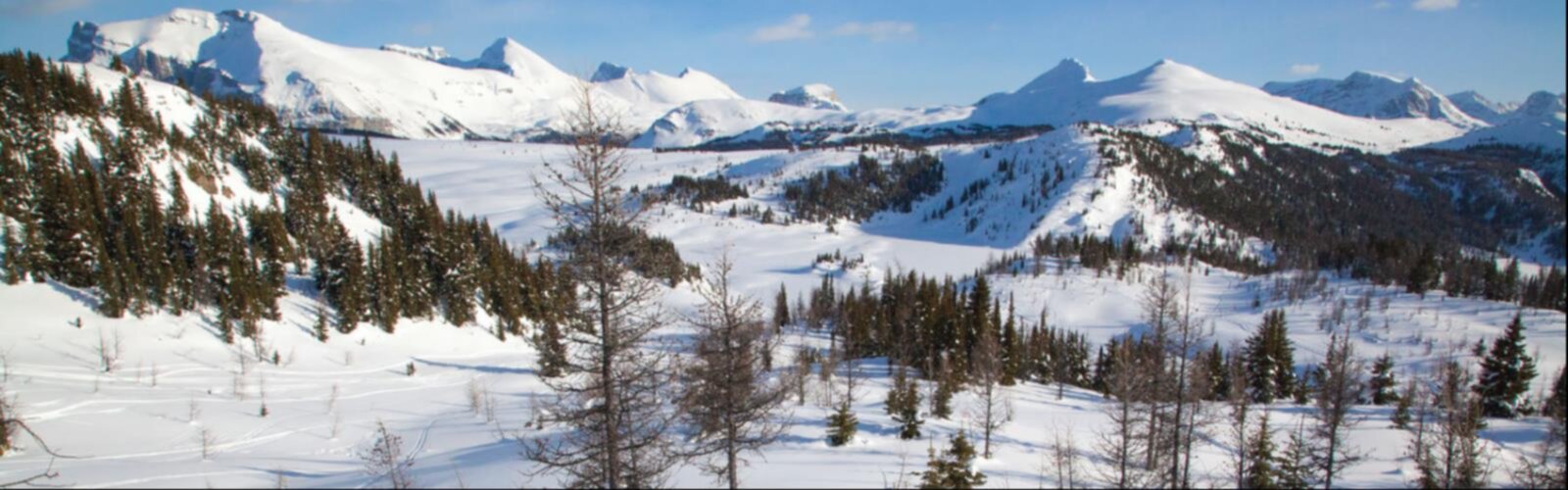 Randonnée Sunshine Village - vue panoramique  snow outdoor sky mountain nature tree covered ski slope ice winter surrounded skiing