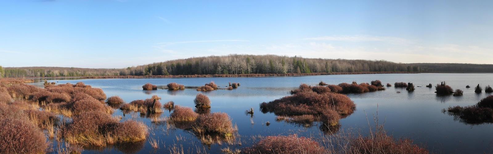 Black Moshannon State Park trail - hiking in Pennsylvania Dutch Country