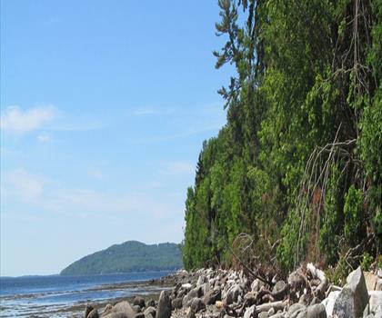 Moose Point State Park trail - hiking in Mid-Coast