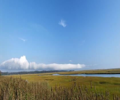 Fort Hill Trail trail - hiking in Cape Cod