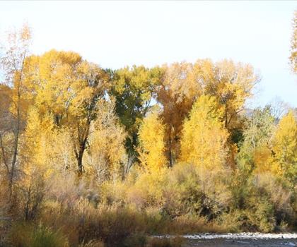 Sentier Roaring Fork River - randonnée en Rockies Playground