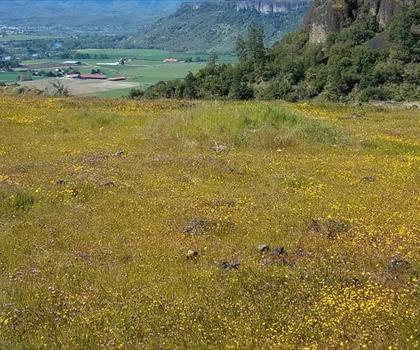 Upper Table Rock trail - hiking in Southern Oregon