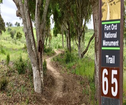 Fort Ord trail - hiking in Central Coast