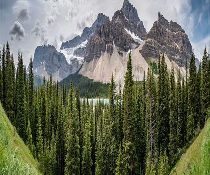 Crowfoot Mountain trail - hiking in Canadian Rockies