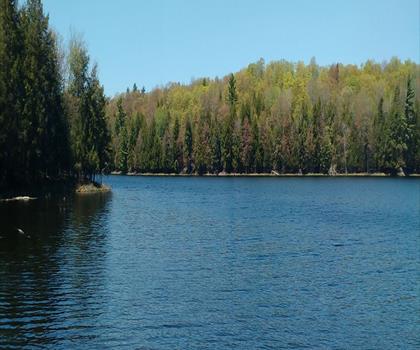 Sentier The Massasauga - randonnée en Algonquin Park, Almaguin Highlands, Muskoka and Parry Sound