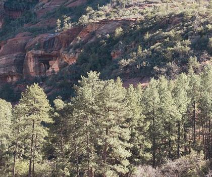 Slide Rock State Park trail - hiking in Central Arizona