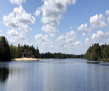 Sentier lac Atsion - randonnée en Pine Barrens