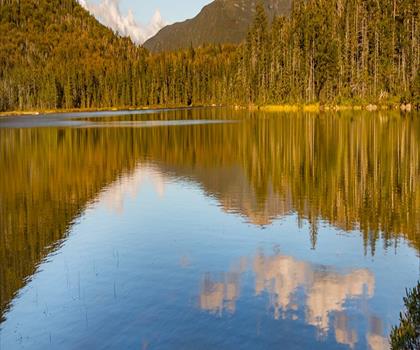 White Lake State Park trail - hiking in Lakes Region