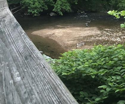 Ma and Pa Trail trail - hiking in Central Maryland