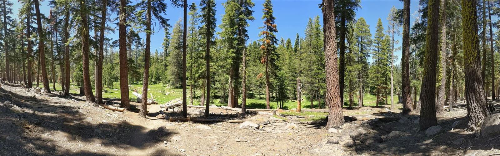 Tahoe Rim Trail trail - hiking in Gold Country