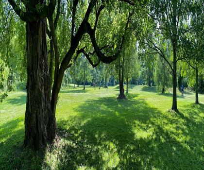 Como Lake Park trail - hiking in Niagara Falls