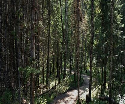 Sentier Falcon Trails Resort - randonnée en Région de l'Est