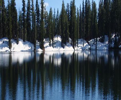 Sentier lac Nellie - randonnée en Northeastern Ontario