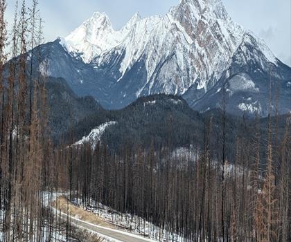 Sentier mont Grisette - randonnée en Canadian Rockies