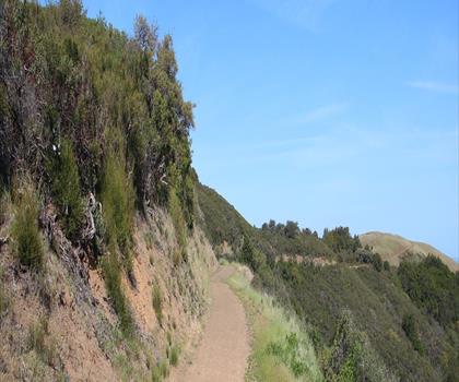 Sierra Azul Open Space Preserve trail - hiking in Gold Country