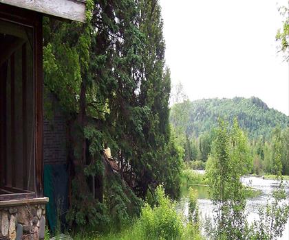 Sentier lac Umbagog - randonnée en Grande Forêt du Nord