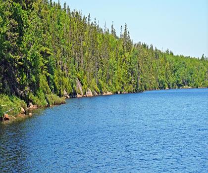 Williams Lake trail - hiking in Halifax Metro