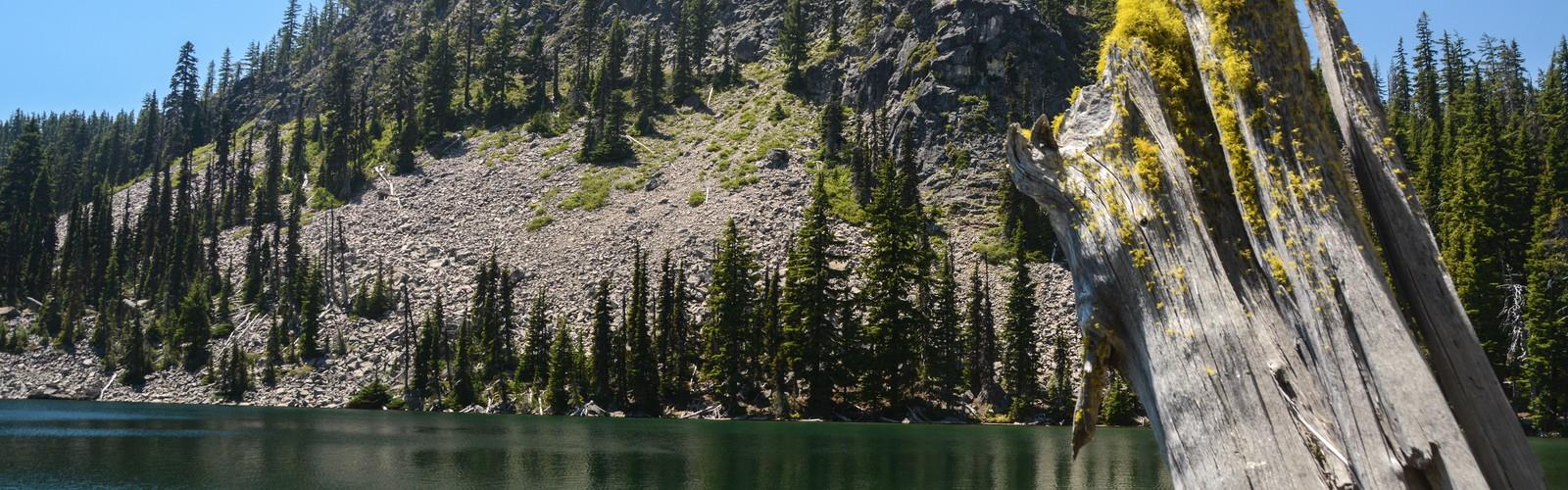 Pengra Pass trail - hiking in Central Oregon