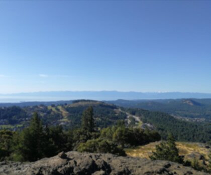 Sentier Mount Finlayson - randonnée en Île de Vancouver
