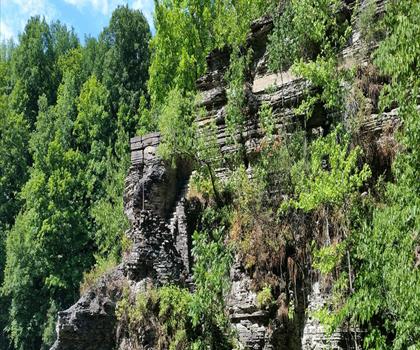 Buttermilk Falls State Park trail - hiking in Finger Lakes