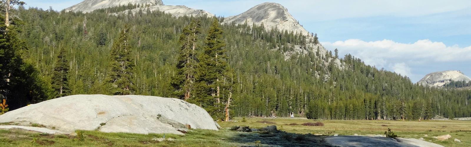 Sky Meadows 2 trail - hiking in Gold Country