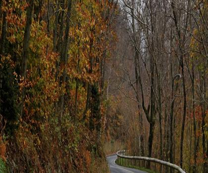 The Hopper trail - hiking in The Berkshires