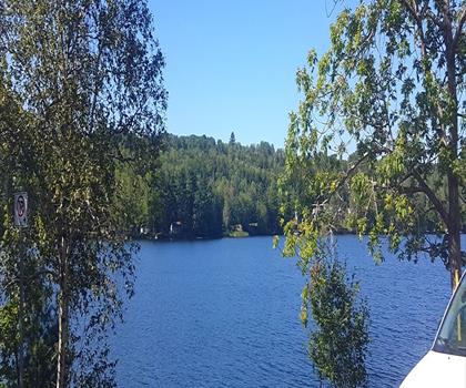Fall River trail - hiking in Halifax Metro