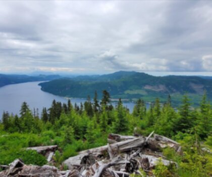 Strathcona Provincial Park trail - hiking in Vancouver Island