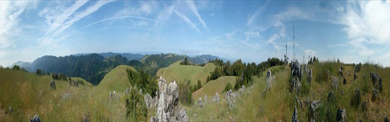 Blacks Mountain trail - hiking in Gold Country