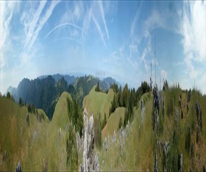 Blacks Mountain trail - hiking in Gold Country