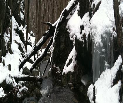 Cascade Trail trail - hiking in The Berkshires