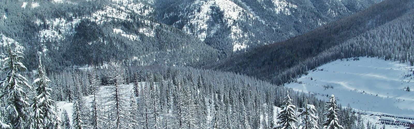 Lookout Pass Ski and Recreation  trail - hiking in Northern Idaho
