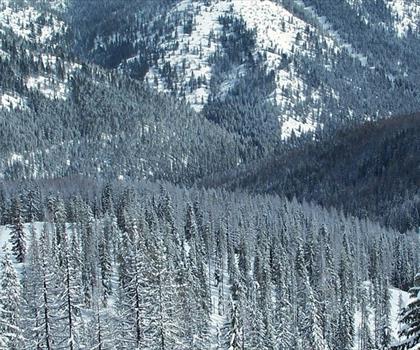 Lookout Pass Ski and Recreation  trail - hiking in Northern Idaho