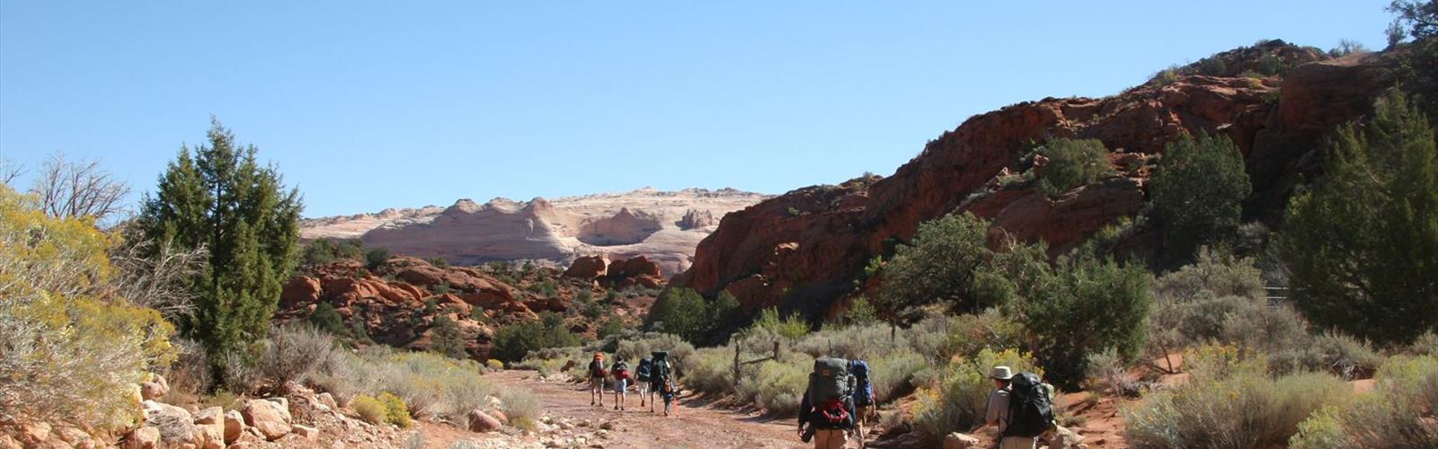 Wire Pass Trailhead trail - hiking in Southern Utah