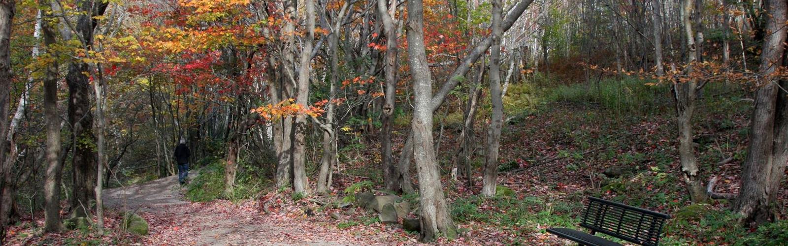 Reservoir Trail trail - hiking in Bay of Fundy & Annapolis Valley
