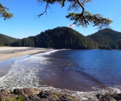 San Josef Bay trail - hiking in Vancouver Island