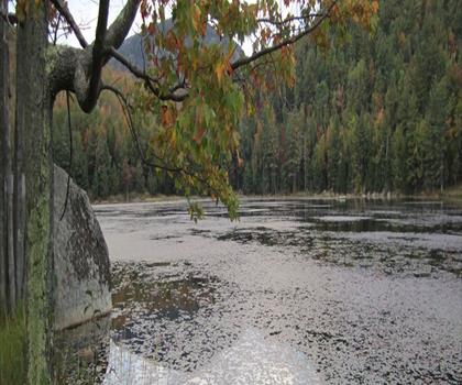 Sentier mont Crane - randonnée en Adirondacks