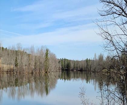 Sentier Dresden Bog - randonnée en Comté d'Aroostook