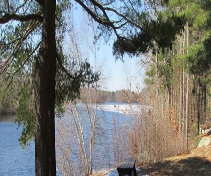 Ames Nowell State Park trail - hiking in South Shore