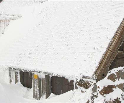 Silcox Hut trail - hiking in Mt. Hood & Columbia River Gorge